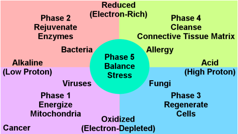 Biophysical Terrains